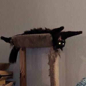 Meet your Posher, Deanna